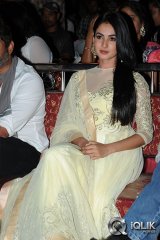 Sonal Chauhan at Legend Movie Success Meet